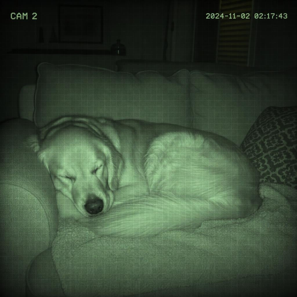 True View — night vision